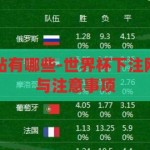 世界杯下注网站有哪些-世界杯下注网站概览，选择与注意事项，世界杯下注网站概览，选择与注意事项