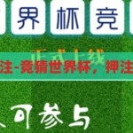 竞猜世界杯押注-竞猜世界杯，押注的乐趣与风险，竞猜世界杯，押注的乐趣与风险并存