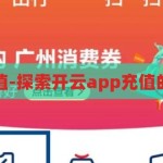 开云app充值-探索开云app充值的便捷与安全，开云app充值，便捷与安全的双重探索
