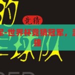世界杯竞猜冠军-世界杯竞猜冠军，激情与智慧的碰撞，激情与智慧的碰撞，世界杯竞猜冠军的终极对决