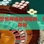 开云体育投注-警惕网络赌博陷阱，开云体育的背后真相，揭秘开云体育，网络赌博的陷阱与真相