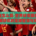 世界杯竞猜奖金怎么算-世界杯竞猜奖金计算全攻略，解锁你的足球智慧与财运，解锁足球智慧与财运，世界杯竞猜奖金计算全攻略