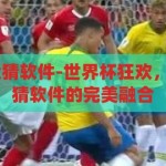 世界杯直播 竞猜软件-世界杯狂欢，直播观赛与竞猜软件的完美融合，世界杯狂欢，直播观赛与竞猜软件的无缝融合