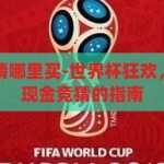 世界杯现金竞猜哪里买-世界杯狂欢，安全合法参与现金竞猜的指南，安全合法参与世界杯现金竞猜的指南，享受狂欢，远离非法渠道