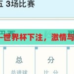 世界杯下注-世界杯下注，激情与理性的碰撞，世界杯下注，激情与理性的碰撞