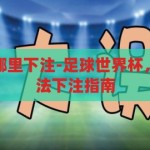 足球世界杯在哪里下注-足球世界杯，理性观赛与合法下注指南，足球世界杯理性观赛与合法下注指南