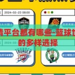 篮球世界杯竞猜平台都有哪些-篮球世界杯竞猜平台的多样选择，篮球世界杯竞猜平台，多样选择与策略指南