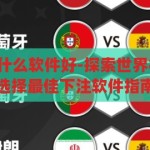 下注世界杯用什么软件好-探索世界杯观赛新境界，选择最佳下注软件指南，探索世界杯观赛新境界，选择最佳下注软件指南