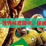 世界杯竞猜卡-世界杯竞猜卡，球迷的智慧与乐趣，球迷的智慧与乐趣，世界杯竞猜卡