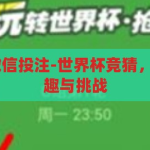 世界杯竞猜 微信投注-世界杯竞猜，微信投注的乐趣与挑战，微信世界杯竞猜，乐趣与挑战并存的投注体验