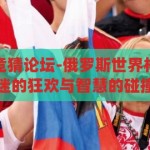 俄罗斯世界杯竞猜论坛-俄罗斯世界杯竞猜论坛，球迷的狂欢与智慧的碰撞，俄罗斯世界杯竞猜论坛，球迷狂欢与智慧碰撞的盛宴