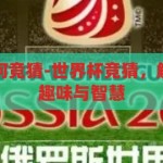 世界杯比赛如何竞猜-世界杯竞猜，解锁足球盛宴的趣味与智慧，解锁足球盛宴，世界杯竞猜的趣味与智慧
