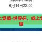 世界杯可以网上竞猜-世界杯，线上竞猜的激情与乐趣，线上竞猜，解锁世界杯的激情与乐趣