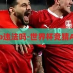 世界杯竞猜app违法吗-世界杯竞猜APP的法律边界，世界杯竞猜APP的法律边界，合法与违法的灰色地带