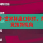 世界杯盘口软件-世界杯盘口软件，数字时代的足球竞技新视角，数字时代足球竞技新视角，世界杯盘口软件