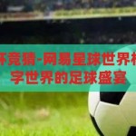 网易星球世界杯竞猜-网易星球世界杯竞猜，一场数字世界的足球盛宴，数字足球盛宴，网易星球世界杯竞猜