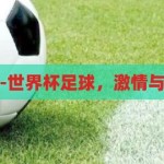 世界杯买球-世界杯足球，激情与理性的交织，世界杯足球，激情与理性的碰撞