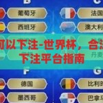 世界杯在哪里可以下注-世界杯，合法与安全的选择下注平台指南，合法与安全的选择，世界杯下注平台指南