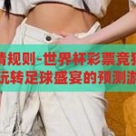 世界杯彩票竞猜规则-世界杯彩票竞猜规则详解，如何玩转足球盛宴的预测游戏，揭秘世界杯彩票竞猜规则，玩转足球盛宴的预测游戏指南