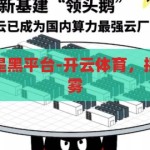 开云体育是不是黑平台-开云体育，揭开黑平台的迷雾，揭秘开云体育，黑平台背后的真相