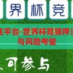 世界杯竞猜押注平台-世界杯竞猜押注平台的多元化与风险考量，世界杯竞猜押注平台的多元化与风险考量