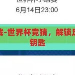 世界杯竞猜下载-世界杯竞猜，解锁足球狂欢的数字钥匙，解锁足球狂欢，世界杯竞猜APP下载指南
