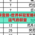 世界杯冠军赔率竞猜-世界杯冠军赔率，一场智慧与运气的较量，智慧与运气的较量，揭秘世界杯冠军赔率竞猜