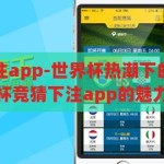 世界杯竞猜下注app-世界杯热潮下的智慧竞猜，探索世界杯竞猜下注app的魅力与风险，智慧竞猜，风险并存，探索世界杯竞猜下注app的魅力与挑战