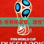 下注世界杯网站-世界杯激情，理性下注的智慧之旅，世界杯激情与理性下注的智慧之旅，探索安全、合法的足球竞猜平台
