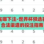 世界杯预选赛在哪下注-世界杯预选赛，理性参与与合法渠道的投注指南，理性参与与合法渠道，世界杯预选赛的投注指南