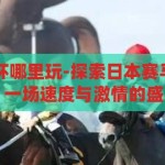 日本赛马世界杯哪里玩-探索日本赛马世界杯的魅力，一场速度与激情的盛宴，探索日本赛马世界杯，速度与激情的魅力之旅