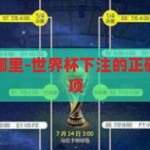 世界杯下注在哪里-世界杯下注的正确途径与注意事项，世界杯下注的正确途径与注意事项