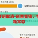 彩票竞猜世界杯后取消-彩票竞猜，世界杯热潮后的新常态，世界杯竞彩热潮后的新常态，彩票竞猜的暂时退场与市场展望
