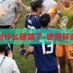 世界杯竞猜为什么被禁了-世界杯竞猜的禁与思，世界杯竞猜的禁与思，为何被禁止及其背后的思考