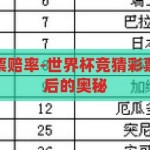 世界杯竞猜彩票赔率-世界杯竞猜彩票，揭秘赔率背后的奥秘，揭秘世界杯竞猜彩票赔率背后的奥秘