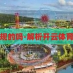 开云体育是正规的吗-解析开云体育，正规性探析，开云体育，正规性深度解析与探讨