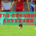 世界杯在哪买球下注-世界杯观赛新体验，合法且安全地享受足球盛宴，合法安全，尽享足球盛宴，世界杯观赛新体验与合法下注指南