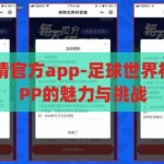 足球世界杯竞猜官方app-足球世界杯竞猜，官方APP的魅力与挑战，足球世界杯竞猜官方APP，魅力与挑战并存