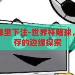 世界杯赌球在哪里下注-世界杯赌球，合法与风险并存的边缘探索，世界杯赌球，合法与风险并存的边缘探索