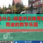 开云体育官网是什么-探索开云体育官网，一站式体育迷的数字乐园，开云体育官网，体育迷的数字乐园，一站式探索体育世界