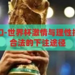 世界杯下注入口-世界杯激情与理性投注，探索安全合法的下注途径，安全合法，激情与理性并存，探索世界杯下注的合法途径