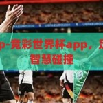 竞彩世界杯app-竞彩世界杯app，足球迷的激情与智慧碰撞，竞彩世界杯app，足球迷的激情与智慧盛宴