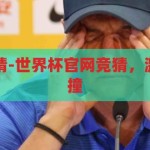 世界杯官网竞猜-世界杯官网竞猜，激情与智慧的碰撞，激情与智慧的碰撞，世界杯官网竞猜