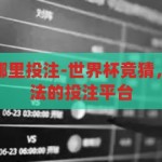 世界杯竞猜去哪里投注-世界杯竞猜，选择安全、合法的投注平台，如何安全、合法地参与世界杯竞猜投注？