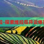 开云体育 维拉-探索维拉在开云体育的崛起之路，开云体育，维拉在数字体育平台的崛起之路