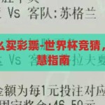 世界杯竞猜怎么买彩票-世界杯竞猜，理性购彩的智慧指南，理性购彩，智慧指南，世界杯竞猜的购买策略