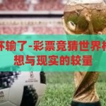 彩票竞猜世界杯输了-彩票竞猜世界杯，一场关于梦想与现实的较量，梦想与现实的碰撞，彩票竞猜世界杯的输赢之争