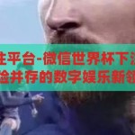 微信世界杯下注平台-微信世界杯下注平台，理性与风险并存的数字娱乐新领域，微信世界杯下注平台，理性与风险交织的数字娱乐新探索