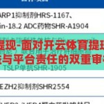 开云体育不给提现-面对开云体育提现难题，用户权益与平台责任的双重审视，开云体育提现难题，用户权益与平台责任的双重审视