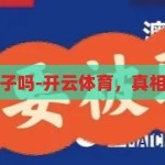 开云体育是骗子吗-开云体育，真相与误解的交织，揭秘开云体育，真相与误解的交织